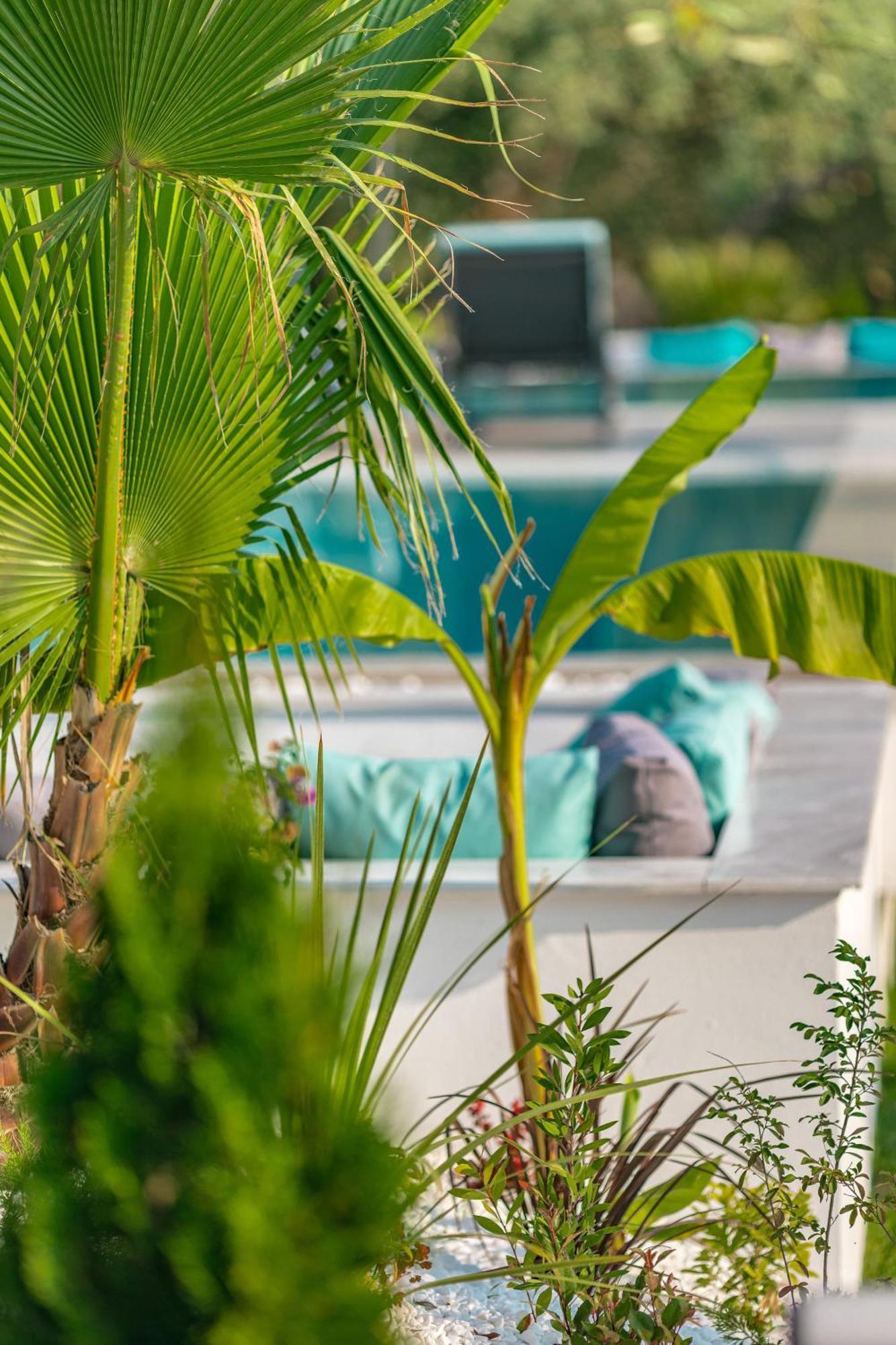 Nooa Villas Skala Rachoni  Zewnętrze zdjęcie